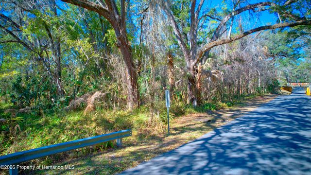 0 Stafford Avenue, Brooksville, FL 34601