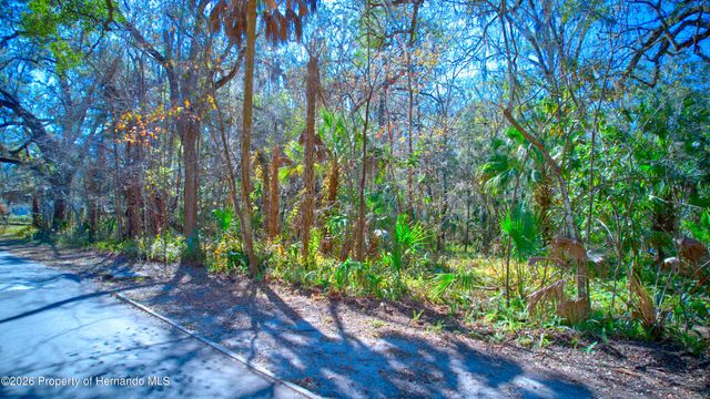 0 Stafford Avenue, Brooksville, FL 34601