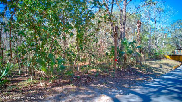 0 Stafford Avenue, Brooksville, FL 34601