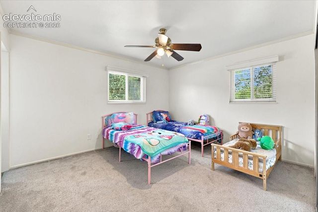 6535 Dublin Circle, Colorado Springs, CO 80918