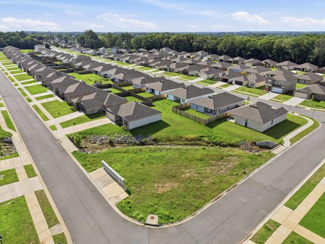 1200 Cowbell Street, Conway, AR 72034