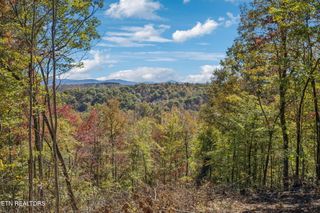Sheep Ranch Rd, Robbins, TN 37852