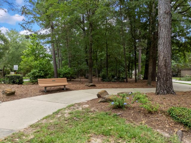 74 Shannon Green Court, The Woodlands, TX 77384