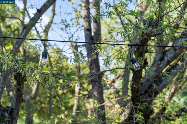 837 Rosewood Ct, Walnut Creek, CA 94596