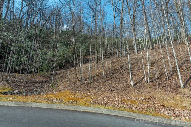 Lot 11 Shining Rock Path, Horse Shoe, NC 28742