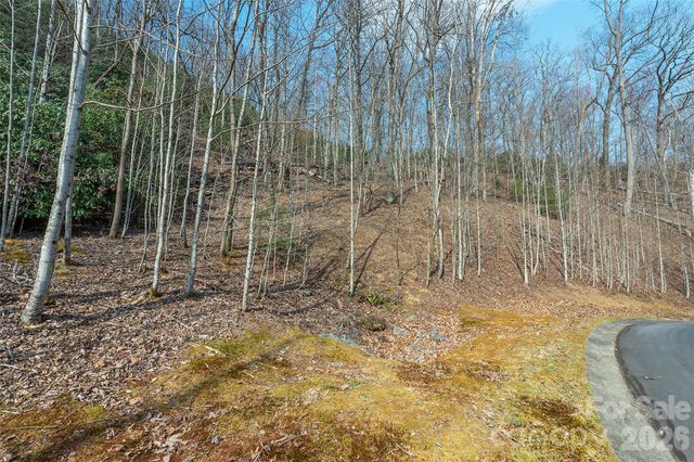 Lot 11 Shining Rock Path, Horse Shoe, NC 28742
