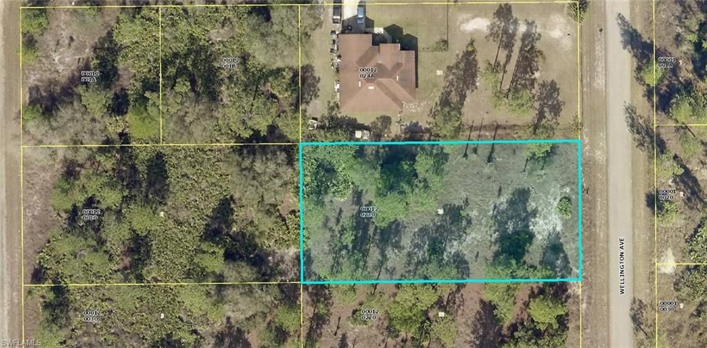 1223 Wellington AVE, LEHIGH ACRES, FL 33972 — exterior
