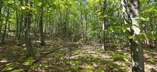 419-24 Meeting House Road, Gilmanton, NH 03237