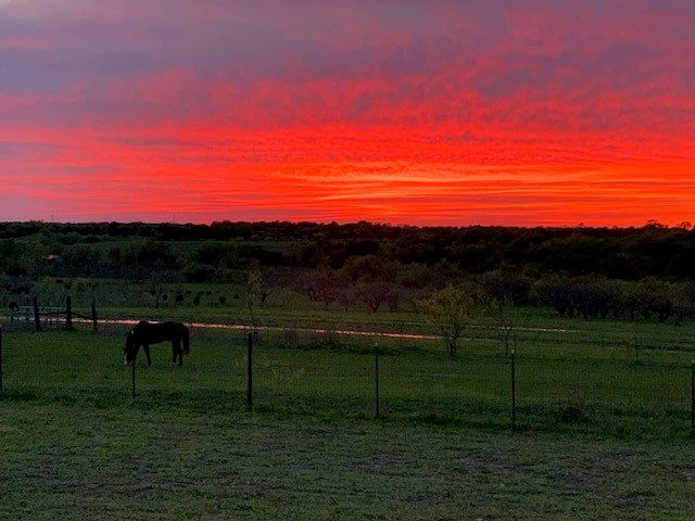 290 Barton Road, Maypearl, TX 76064