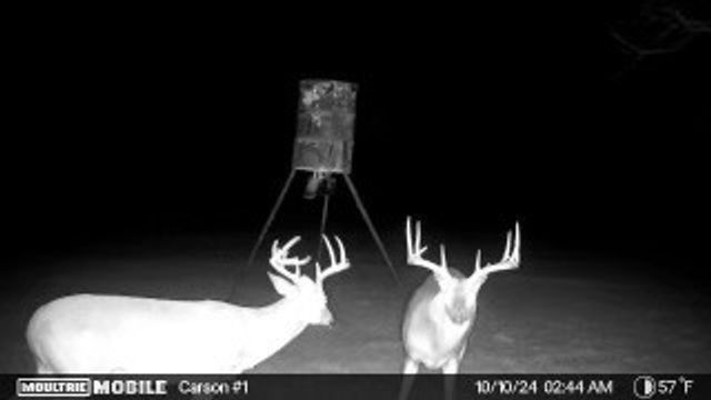 290 Barton Road, Maypearl, TX 76064