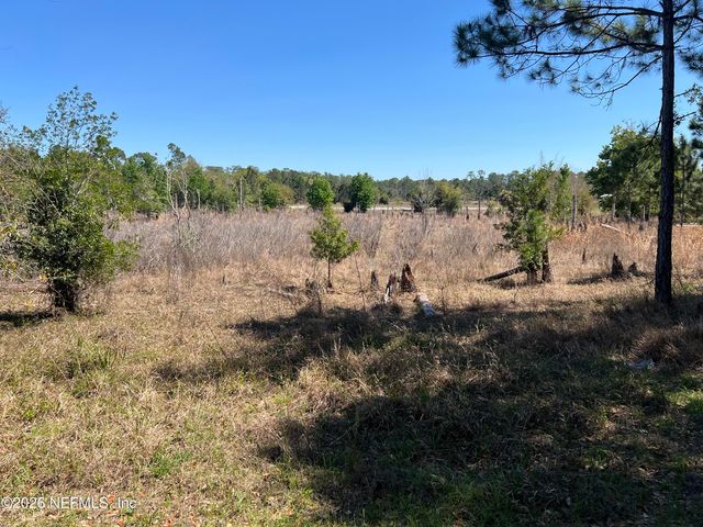 223 OAK RIDGE Drive, Welaka, FL 32193