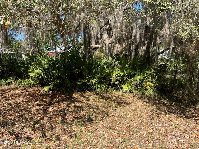 223 OAK RIDGE Drive, Welaka, FL 32193