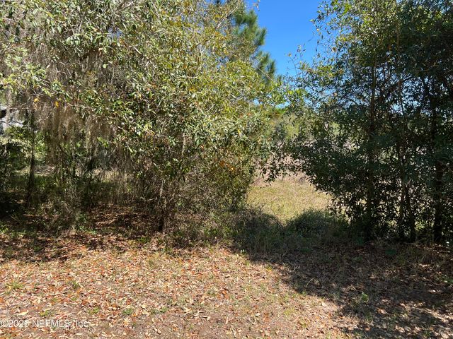 223 OAK RIDGE Drive, Welaka, FL 32193