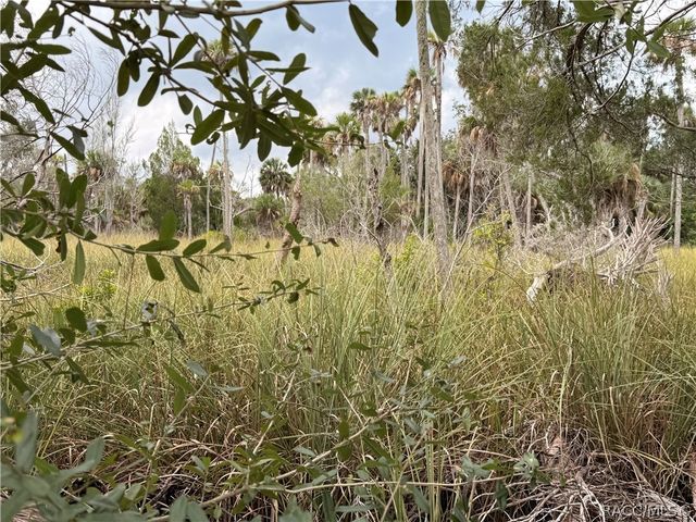 12039 W Fort Island Trail, Crystal River, FL 34429