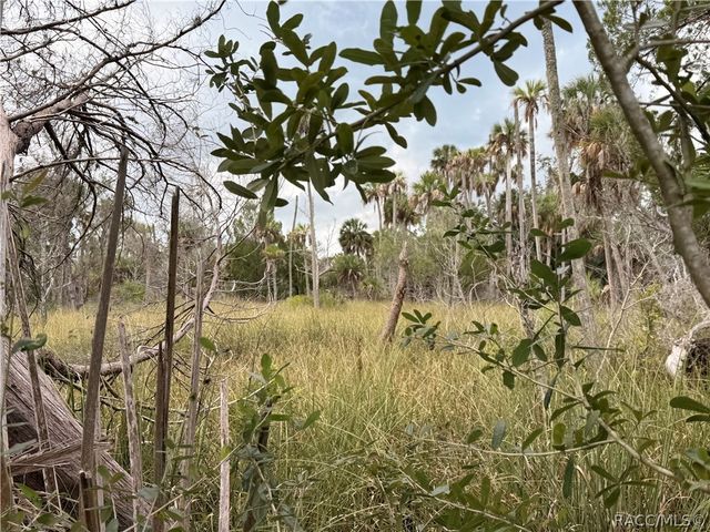 12039 W Fort Island Trail, Crystal River, FL 34429