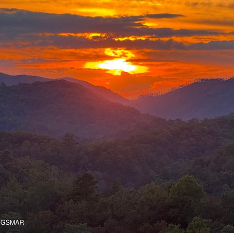 335 Hawken Drive, Walland, TN 37886