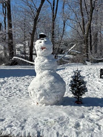 309 Jamestown Rd, Bridgewater Twp., NJ 08807