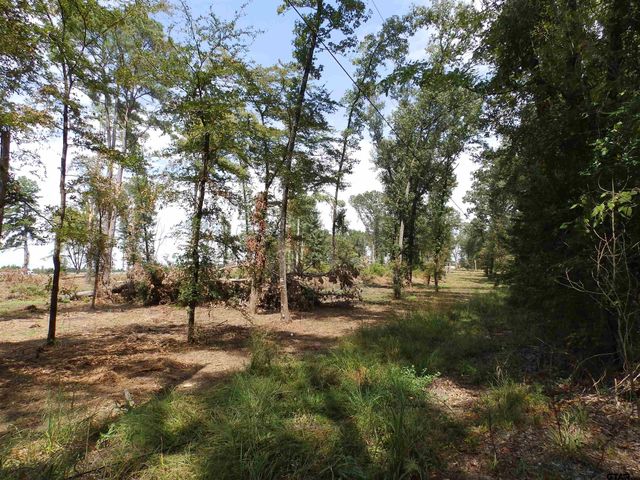 16393 W HWY 31 Lot-2, Tyler, TX 75709