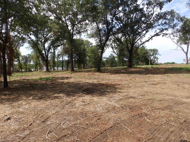 16393 W HWY 31 Lot-2, Tyler, TX 75709