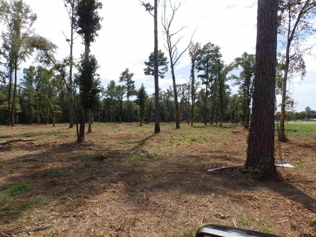 16393 W HWY 31 Lot-2, Tyler, TX 75709