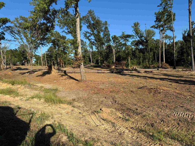 16393 W HWY 31 Lot-2, Tyler, TX 75709