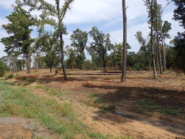 16393 W HWY 31 Lot-2, Tyler, TX 75709