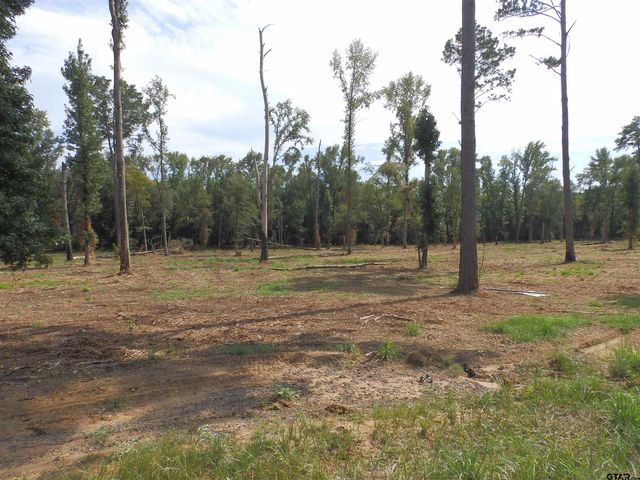 16393 W HWY 31 Lot-2, Tyler, TX 75709