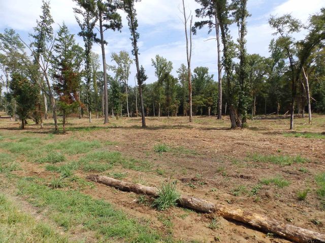 16393 W HWY 31 Lot-2, Tyler, TX 75709