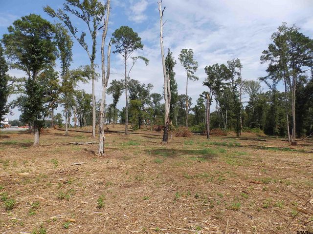 16393 W HWY 31 Lot-2, Tyler, TX 75709