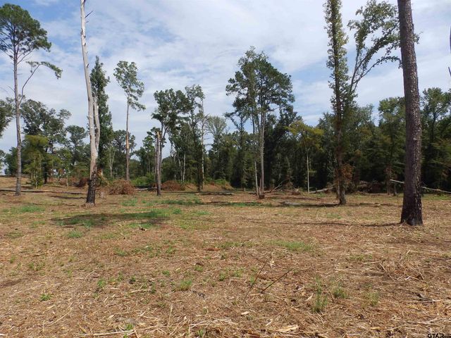 16393 W HWY 31 Lot-2, Tyler, TX 75709