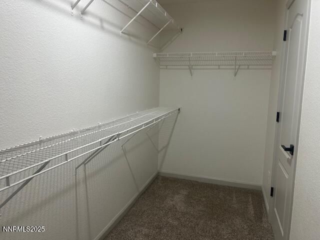 138 Bethpage Drive, Dayton, NV 89403