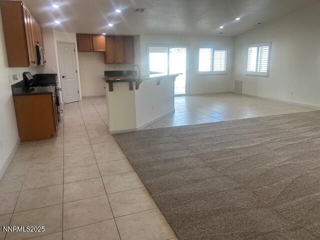 138 Bethpage Drive, Dayton, NV 89403