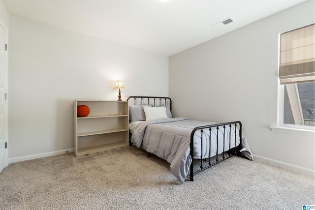 3050 BAXTER AVENUE, Springville, AL 35146