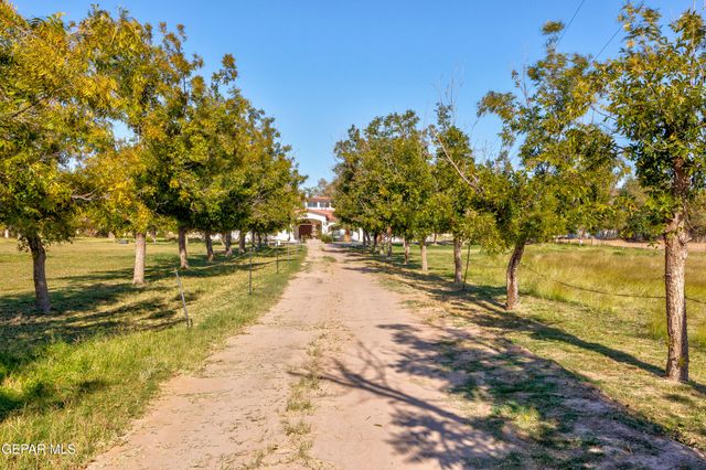 12309 SUGDEN Road, Clint, TX 79836