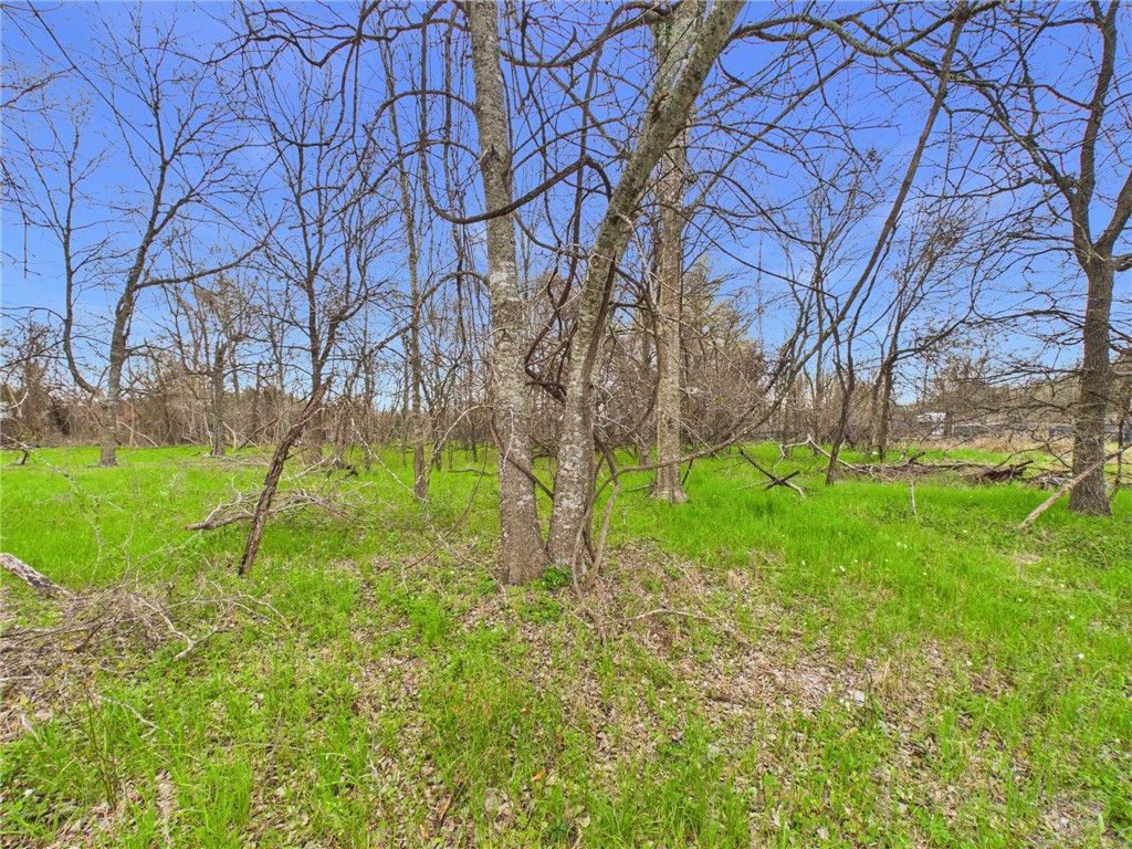 TBD Railroad Road, Somerville, TX 77879 — photo 2
