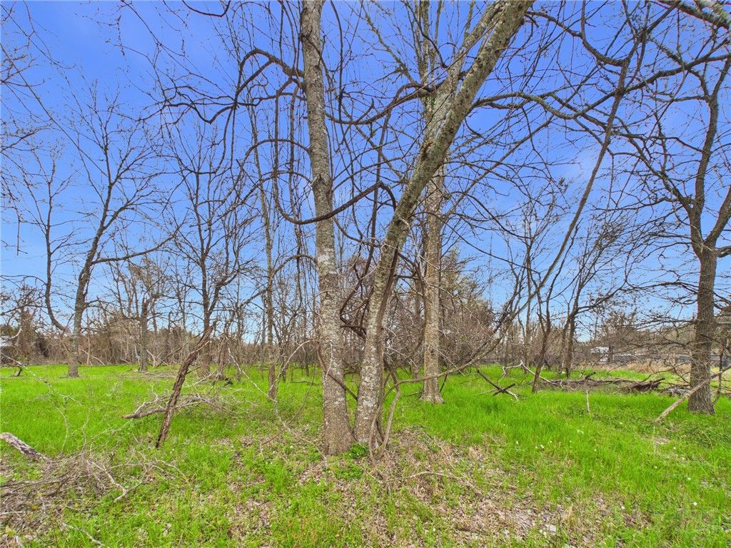 TBD Railroad Road, Somerville, TX 77879 — photo 4