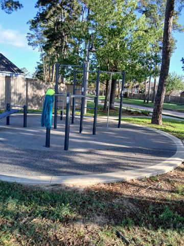 22603 Spring Crossing Drive, Spring, TX 77373