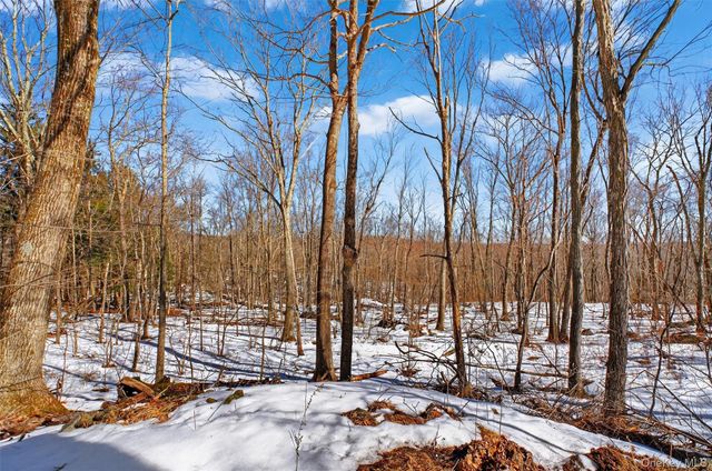 208 Ressique Road, Stormville, NY 12582