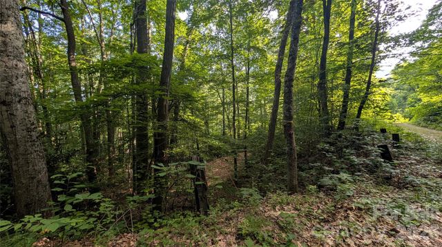 00 Chestnut Walk 3,4,5, Waynesville, NC 28786