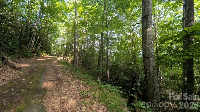 00 Chestnut Walk 3,4,5, Waynesville, NC 28786