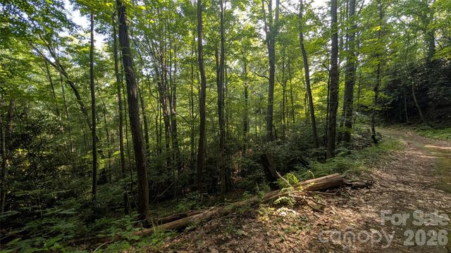 00 Chestnut Walk 3,4,5, Waynesville, NC 28786