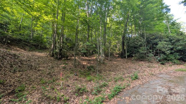 00 Chestnut Walk 3,4,5, Waynesville, NC 28786