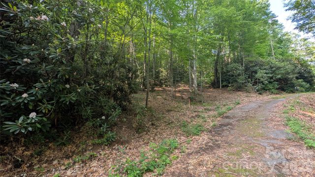 00 Chestnut Walk 3,4,5, Waynesville, NC 28786