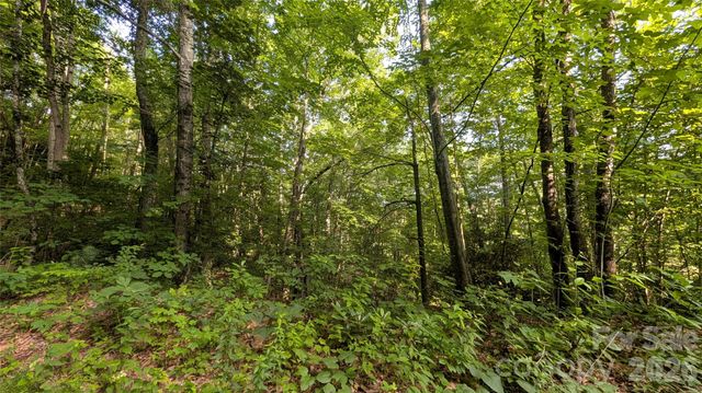 00 Chestnut Walk 3,4,5, Waynesville, NC 28786