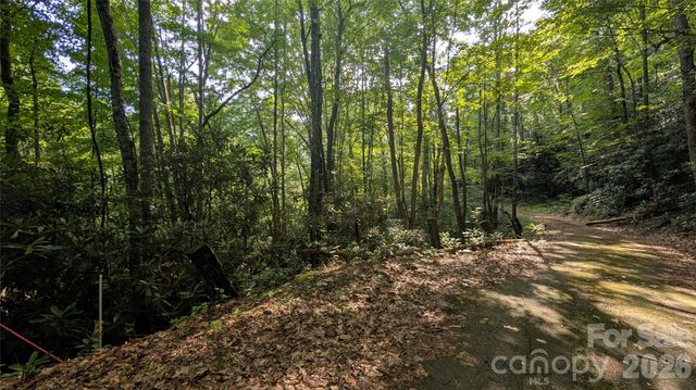 00 Chestnut Walk 3,4,5, Waynesville, NC 28786