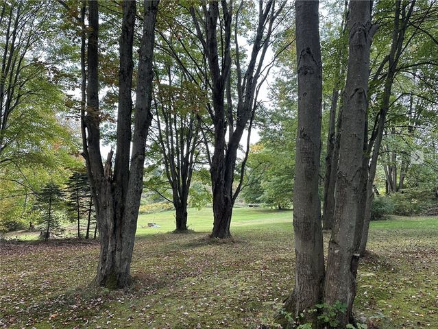 4018 Highland Avenue, Great Valley, NY 14779