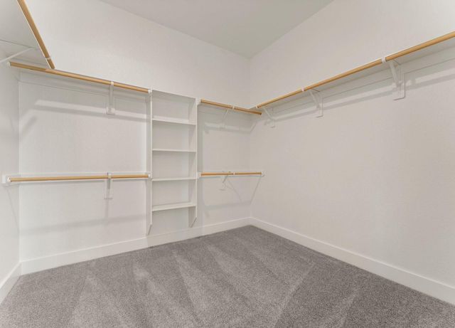 7902 River Bluet Place, Fulshear, TX 77441