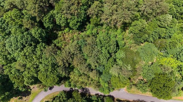 Lot 60 Meadow Brooke Drive, Young Harris, GA 30582