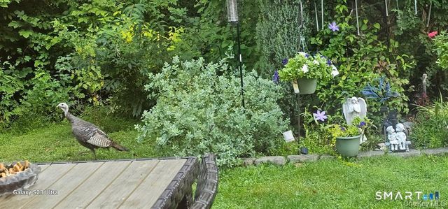 53 Jefferson Oval B, Yorktown, NY 10598