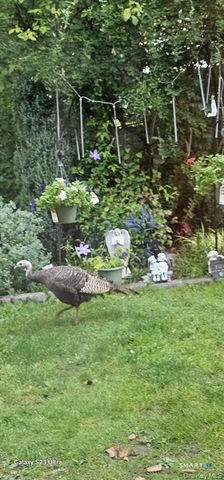 53 Jefferson Oval B, Yorktown, NY 10598